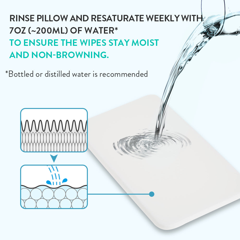 Ever-Fresh Replacement Pillows - 2 Pack