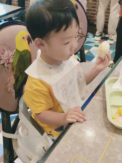 Disposable Baby Bibs 20pk